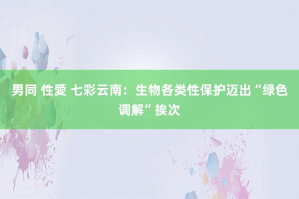 男同 性愛 七彩云南：生物各类性保护迈出“绿色调解”挨次