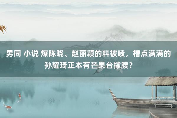 男同 小说 爆陈晓、赵丽颖的料被喷，槽点满满的孙耀琦正本有芒果台撑腰？