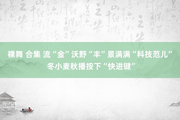 裸舞 合集 流“金”沃野“丰”景满满“科技范儿” 冬小麦秋播按下“快进键”