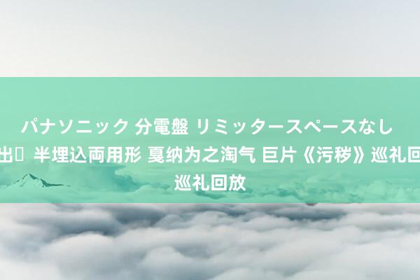 パナソニック 分電盤 リミッタースペースなし 露出・半埋込両用形 戛纳为之淘气 巨片《污秽》巡礼回放