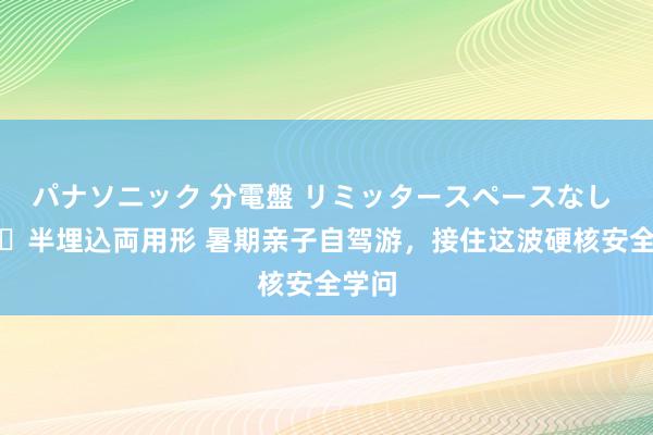 パナソニック 分電盤 リミッタースペースなし 露出・半埋込両用形 暑期亲子自驾游，接住这波硬核安全学问