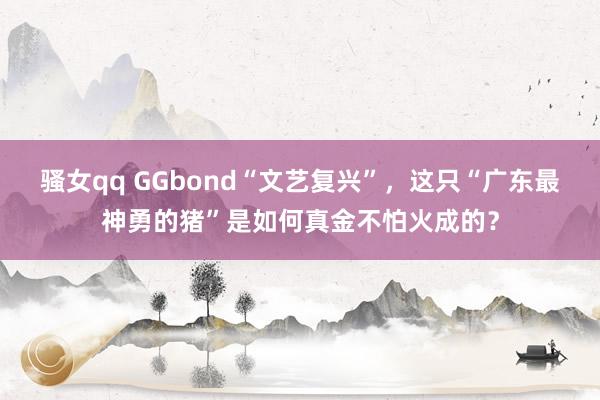 骚女qq GGbond“文艺复兴”，这只“广东最神勇的猪”是如何真金不怕火成的？