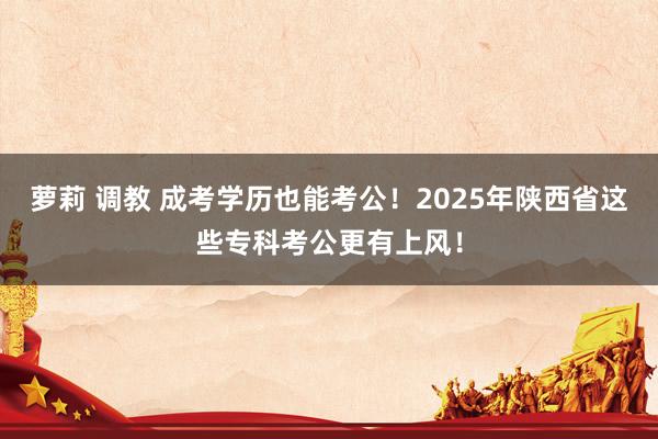 萝莉 调教 成考学历也能考公！2025年陕西省这些专科考公更有上风！