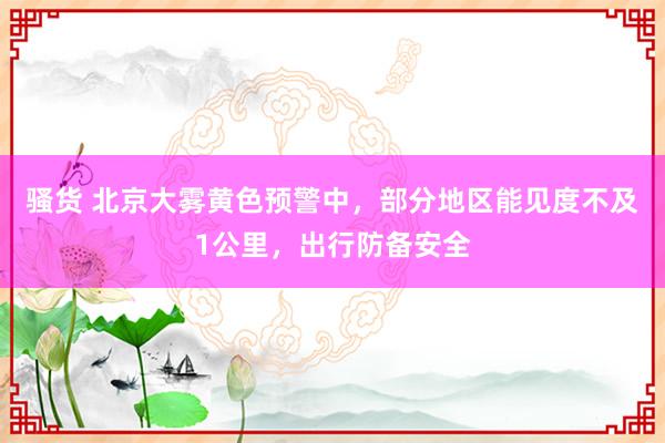 骚货 北京大雾黄色预警中，部分地区能见度不及1公里，出行防备安全