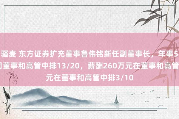 骚麦 东方证券扩充董事鲁伟铭新任副董事长，年事53岁在公司董